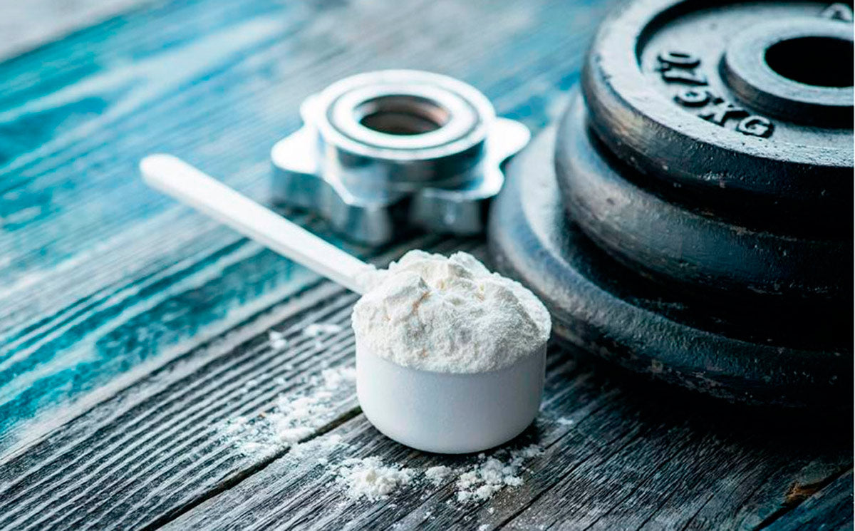 Creatine Monohydrate: What It Is and How It Works?