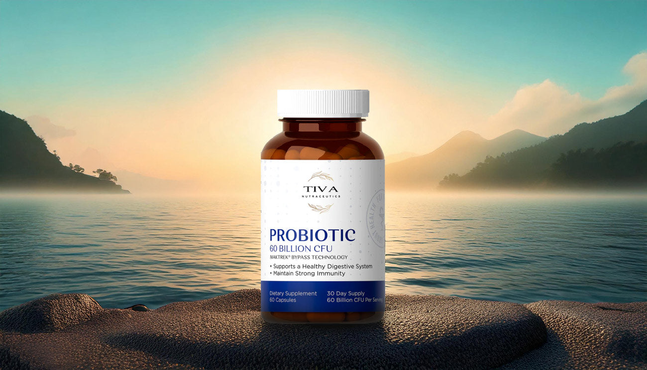 What Are Probiotics and How Are They Useful?