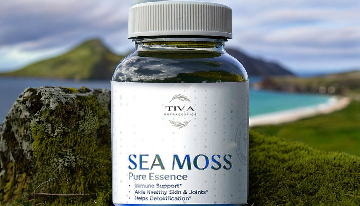 Sea Moss Capsules: a Simple Way to Boost Your Health