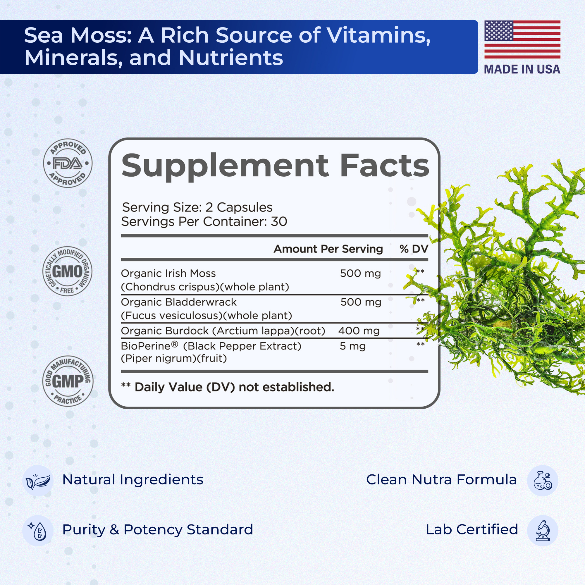 Sea Moss 60 Capsules — Natural Health Support