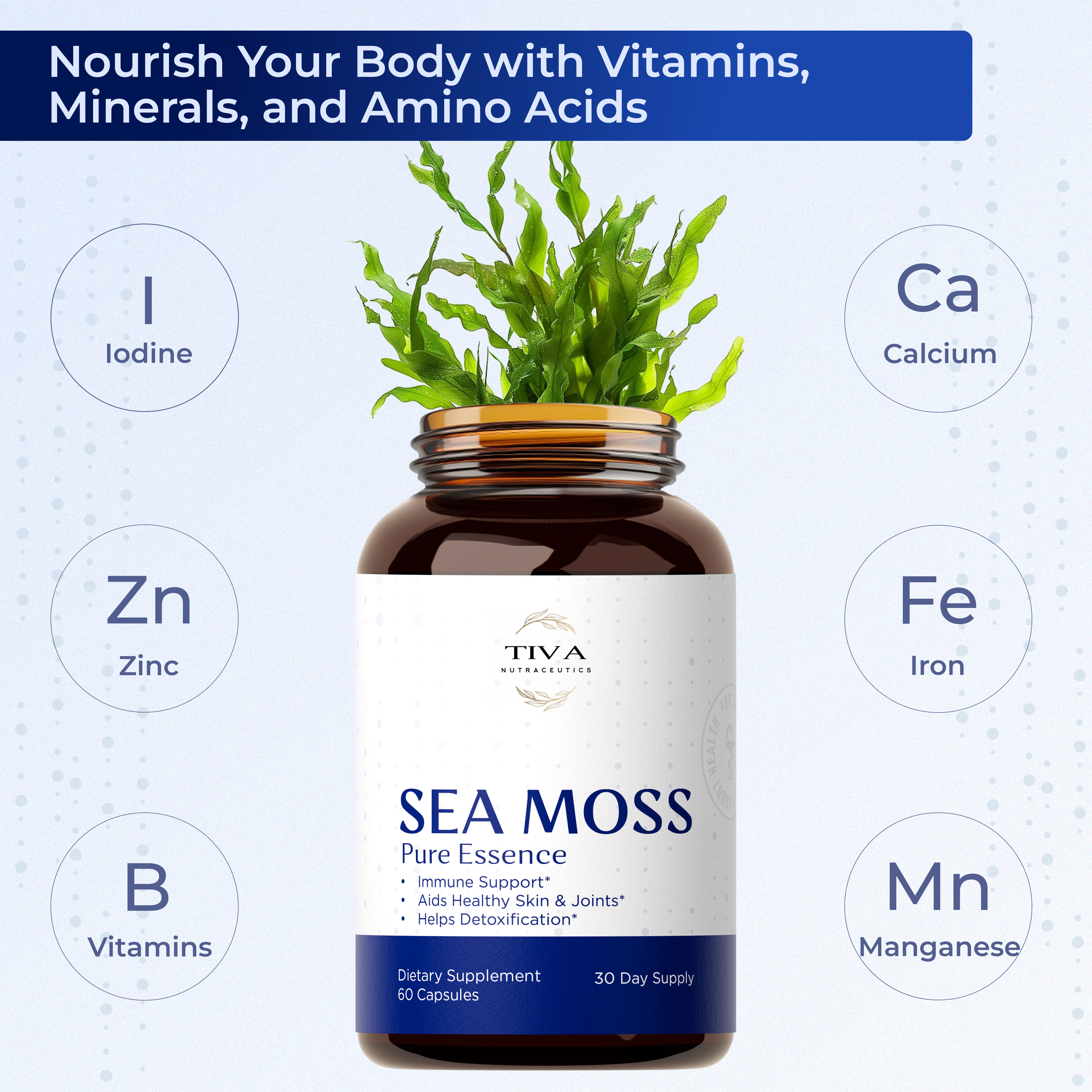 Sea Moss 60 Capsules — Natural Health Support