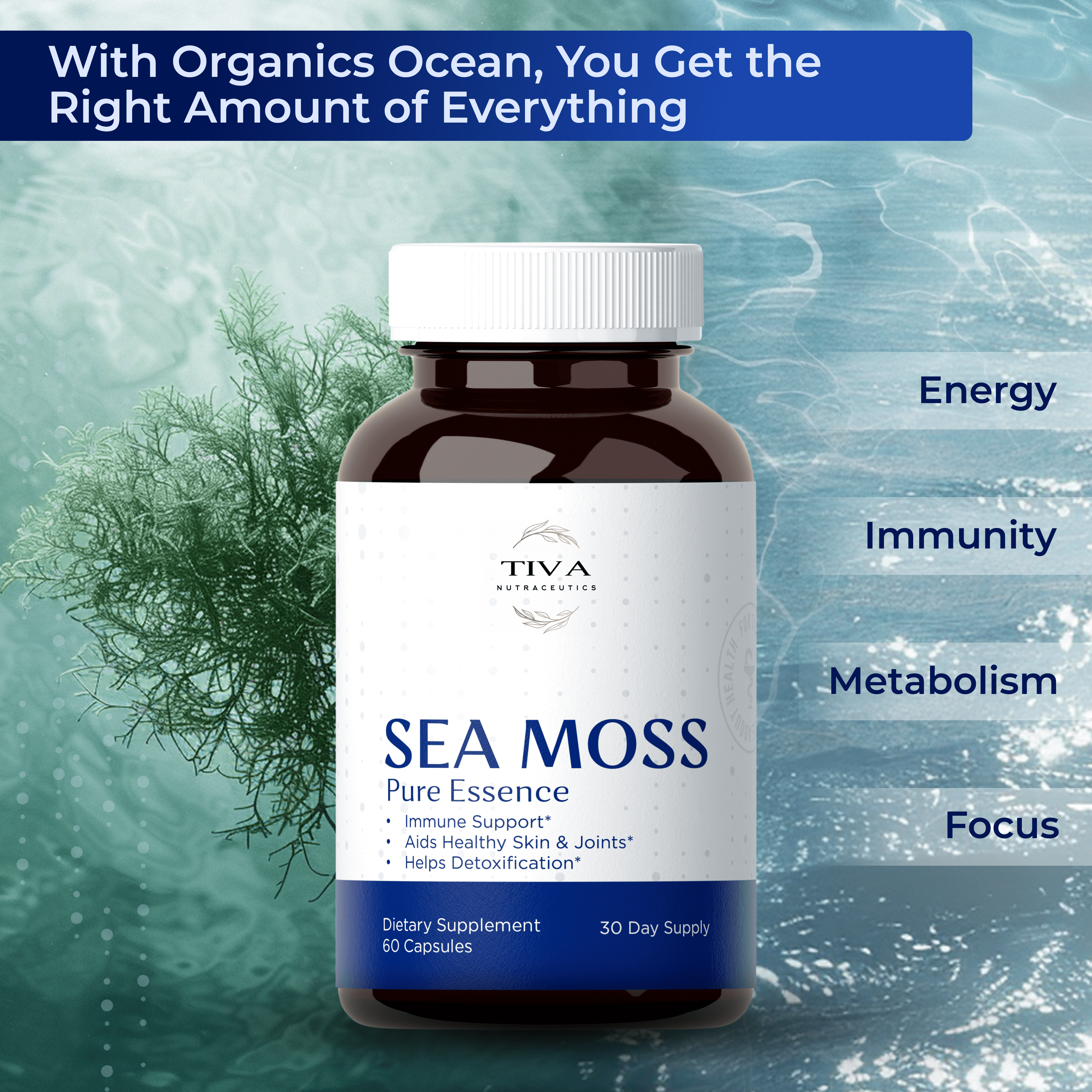 Sea Moss 60 Capsules — Natural Health Support